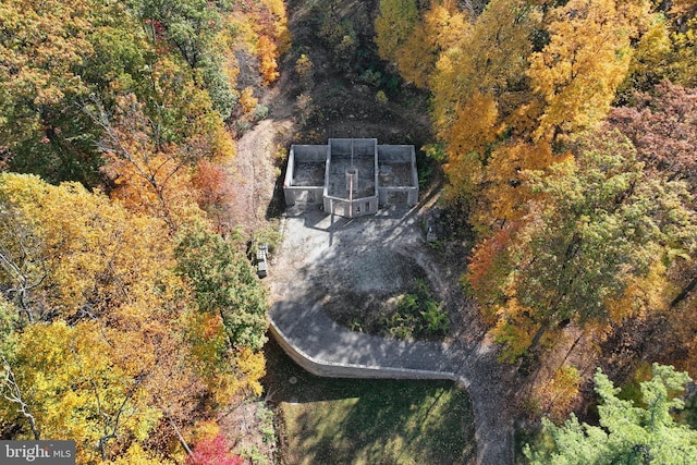 bird's eye view with a view of trees