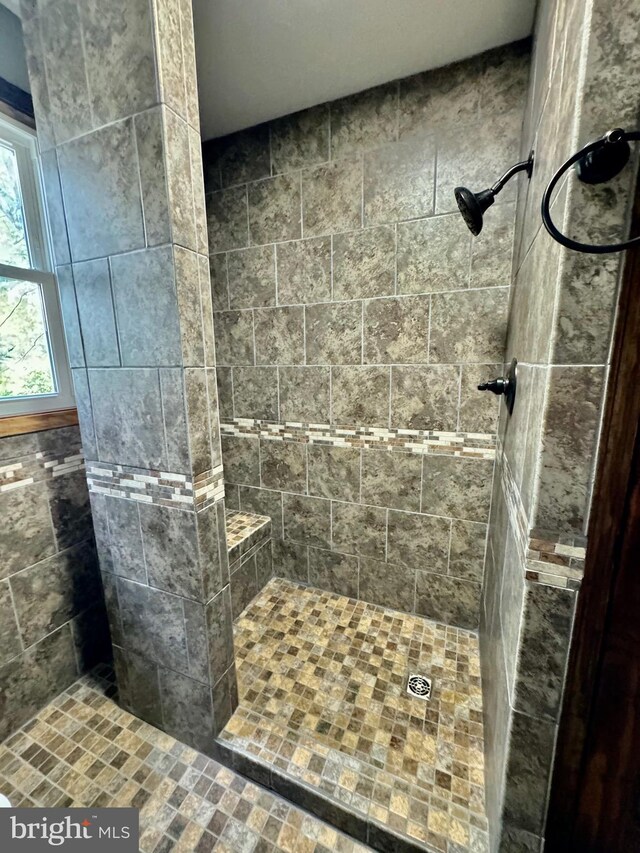 18928 National Pike, Frostburg, MD 21532 - full bathroom featuring tiled shower