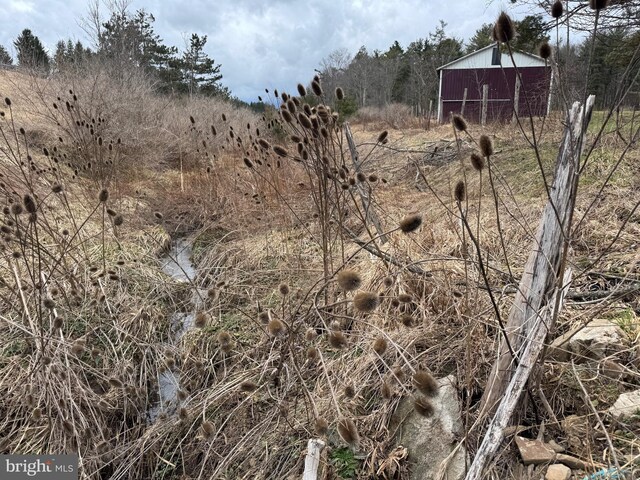 18928 National Pike, Frostburg, MD 21532 - view of local wilderness