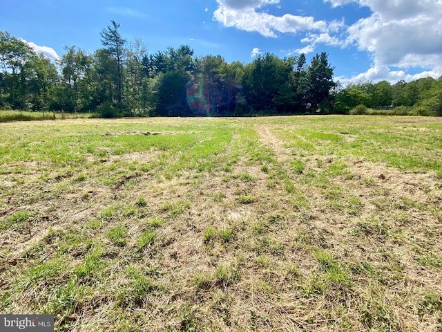 18928 National Pike, Frostburg, MD 21532 - view of yard featuring a rural view and a view of trees