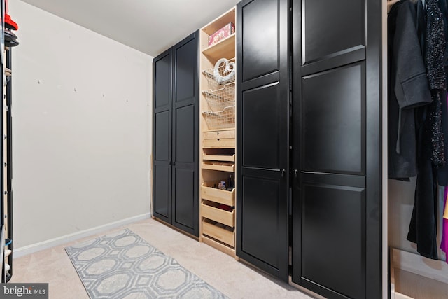 view of closet