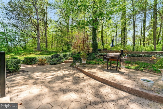 view of patio / terrace featuring grilling area