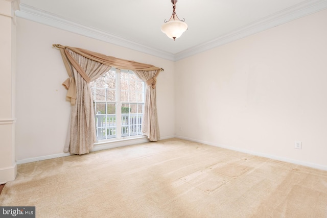 spare room with baseboards, ornamental molding, and carpet