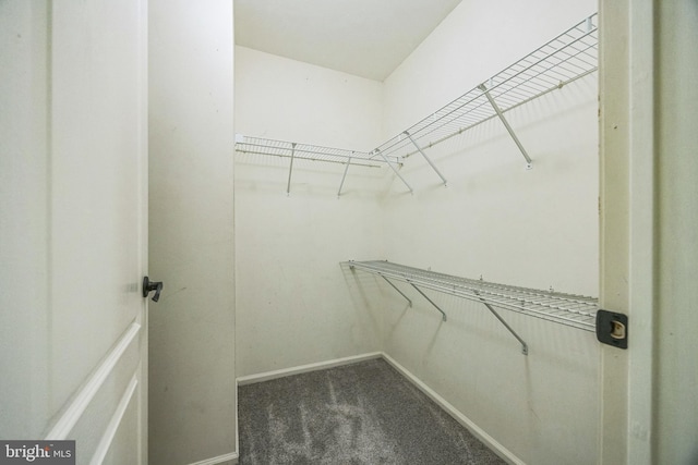 spacious closet with dark colored carpet