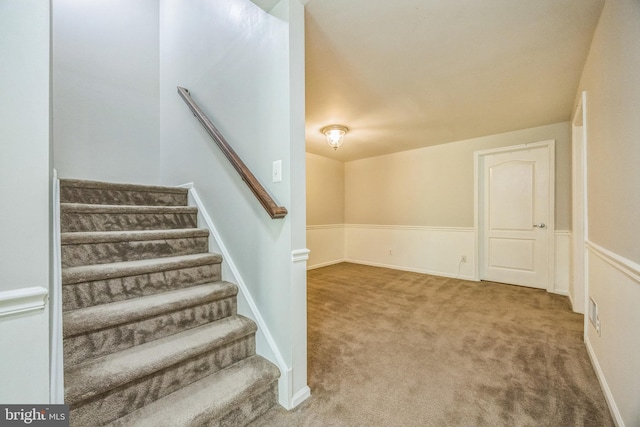 staircase with carpet floors