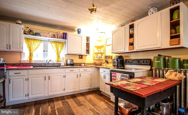 606 Ridgley St, Orbisonia, PA 17243 - kitchen featuring wooden ceiling, a sink, open shelves, dark wood-style floors, and range with electric cooktop