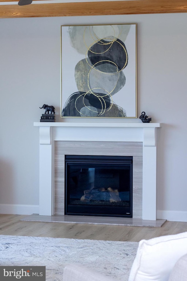 details featuring a glass covered fireplace, baseboards, and wood finished floors