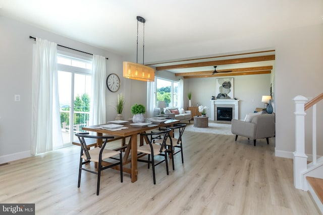 dining area with a glass covered fireplace, beam ceiling, light wood-style flooring, and a ceiling fan