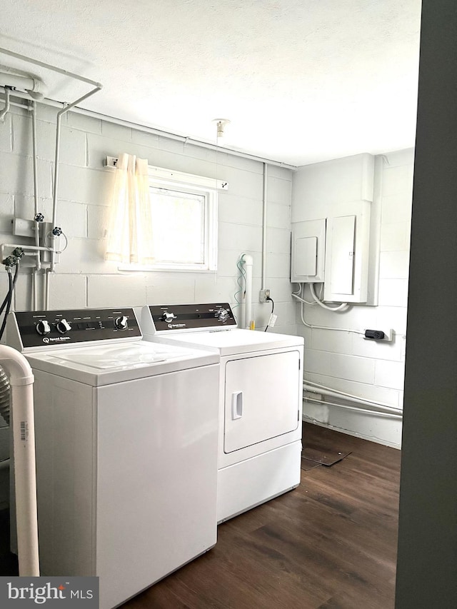 205 Parkway St, Winchester, VA 22601 - laundry area featuring separate washer and dryer, concrete block wall, and dark wood-style floors