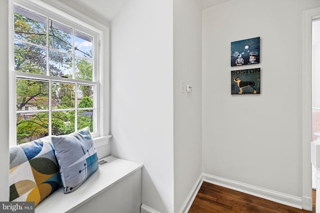 interior space featuring baseboards and dark wood-style flooring