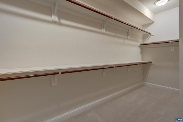 spacious closet featuring light colored carpet