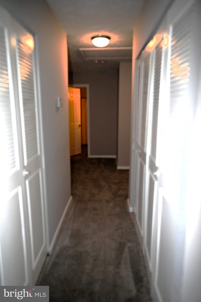 3539 Smokethorn Ct, Waldorf, MD 20602 - corridor with baseboards and carpet