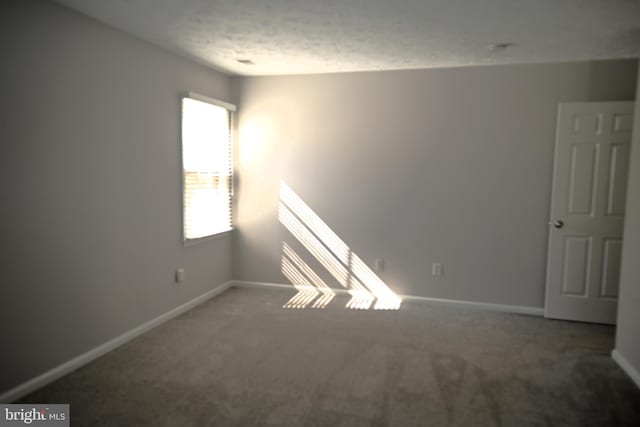 3539 Smokethorn Ct, Waldorf, MD 20602 - unfurnished room with baseboards, carpet floors, and a textured ceiling