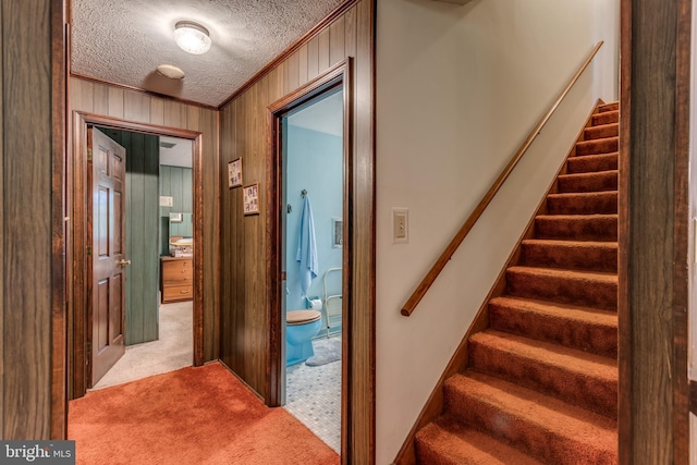 126 Armstrong Pl, Winchester, VA 22602 - hall featuring stairway, wood walls, a textured ceiling, crown molding, and carpet flooring