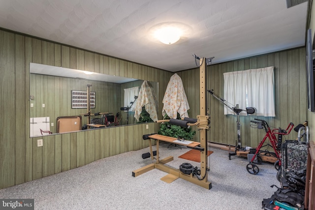 126 Armstrong Pl, Winchester, VA 22602 - exercise area with carpet flooring