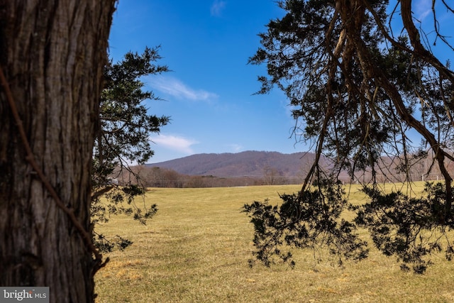 4204 Old Fincastle Rd, Fincastle, VA 24090 - mountain view with a rural view
