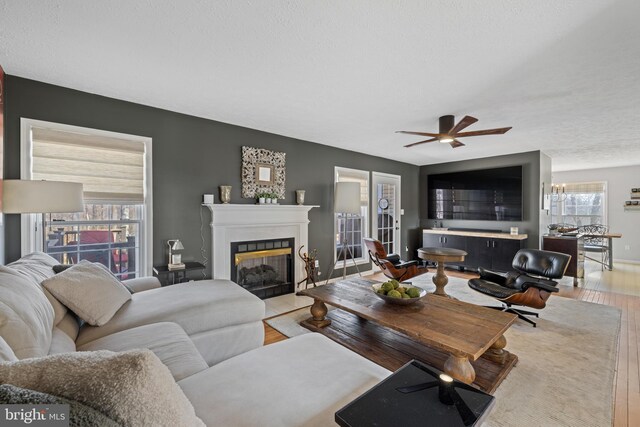 4204 Old Fincastle Rd, Fincastle, VA 24090 - living area with hardwood / wood-style floors, a glass covered fireplace, a ceiling fan, and baseboards