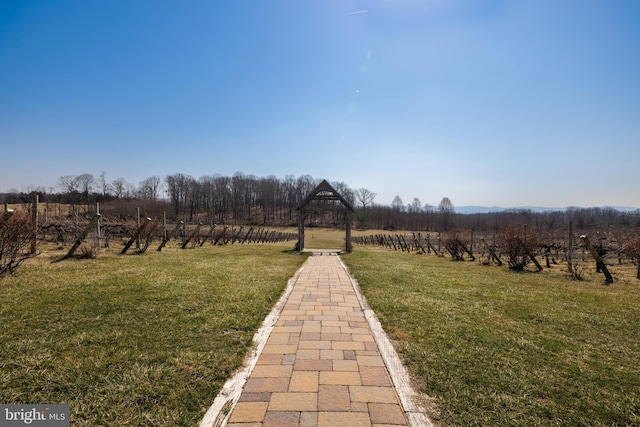 4204 Old Fincastle Rd, Fincastle, VA 24090 - view of yard featuring a rural view