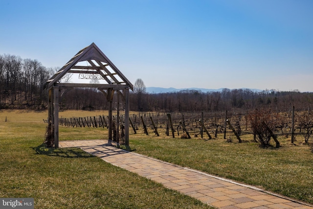 4204 Old Fincastle Rd, Fincastle, VA 24090 - view of yard featuring a gazebo and a forest view