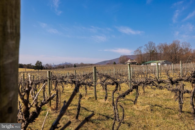 4204 Old Fincastle Rd, Fincastle, VA 24090 - view of yard with a mountain view, a rural view, and fence