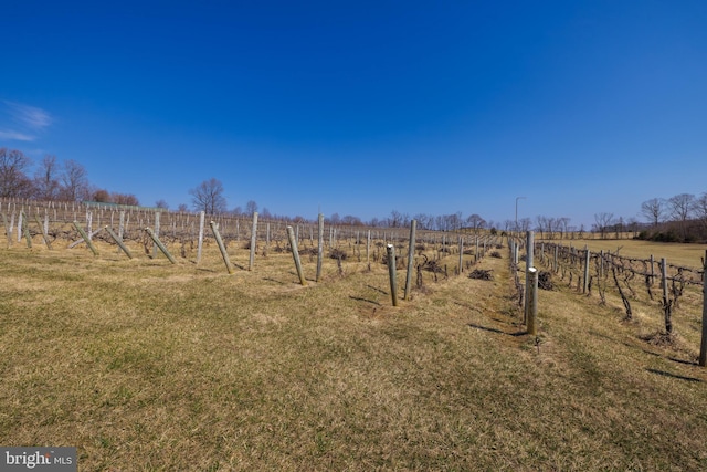 4204 Old Fincastle Rd, Fincastle, VA 24090 - view of yard with a rural view and fence