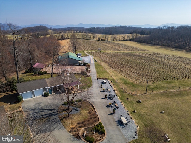 4204 Old Fincastle Rd, Fincastle, VA 24090 - aerial view with a mountain view and a rural view