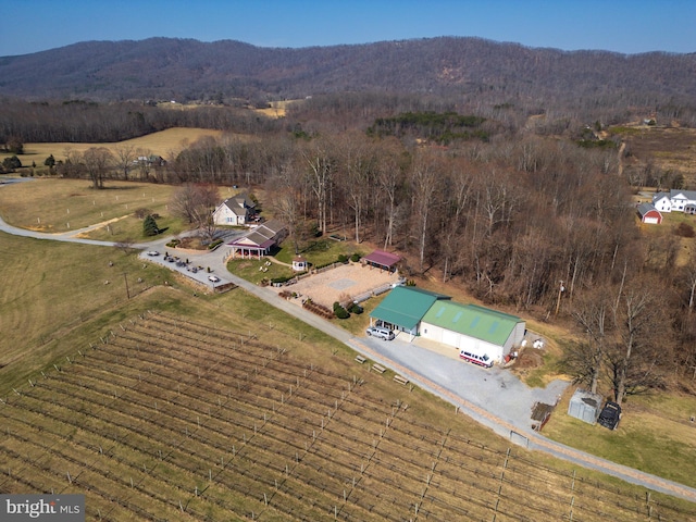 4204 Old Fincastle Rd, Fincastle, VA 24090 - drone / aerial view with a rural view and a mountain view