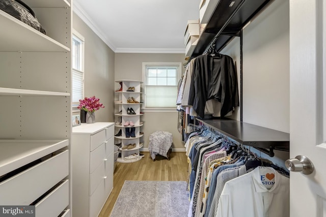 3313 Midland Rd, Fairfax, VA 22031 - walk in closet with light wood-type flooring