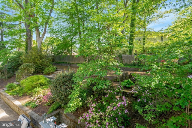 3313 Midland Rd, Fairfax, VA 22031 - view of yard featuring a fenced backyard and a vegetable garden