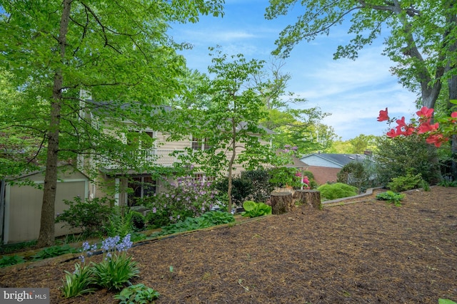 3313 Midland Rd, Fairfax, VA 22031 - view of yard