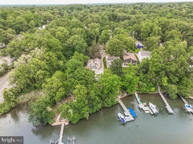 drone / aerial view of a forest and a large body of water