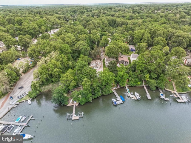 aerial overview of property's location featuring a forest and a large body of water