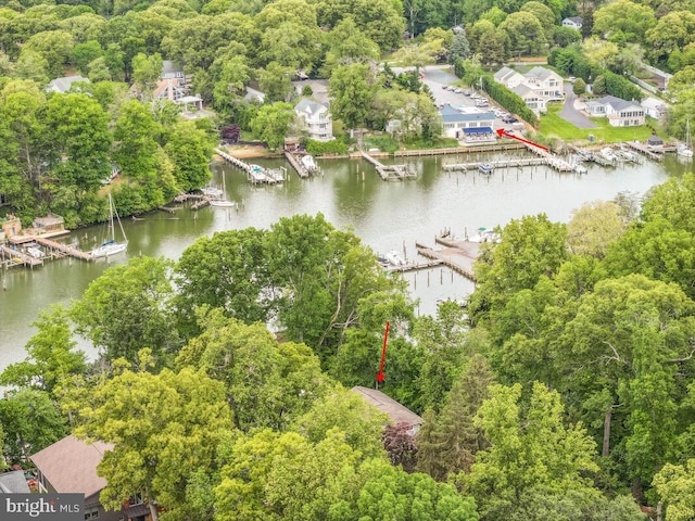 bird's eye view of a large body of water and numerous boat docks