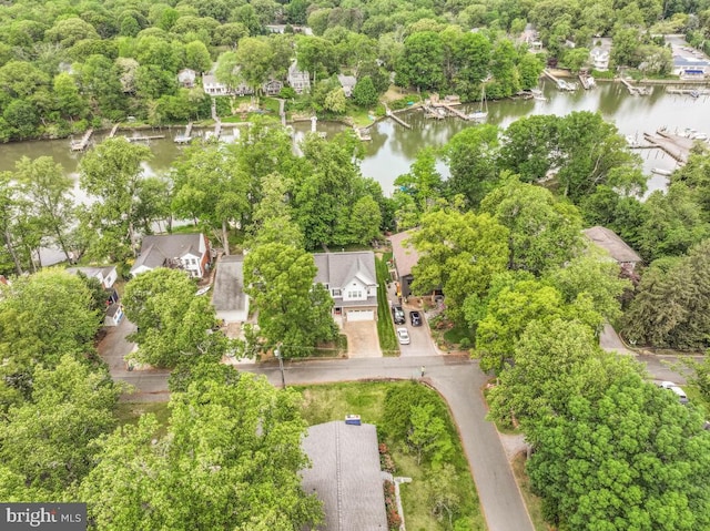 aerial perspective of suburban area with a large body of water and a tree filled landscape