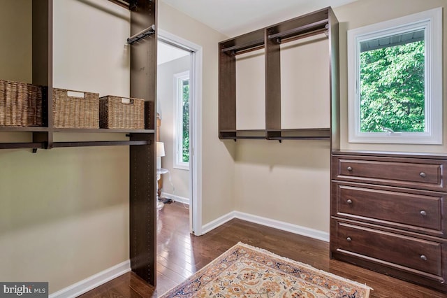 walk in closet with dark wood-style floors