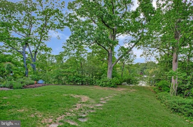 view of green lawn