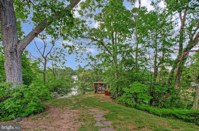 view of yard with a wooden deck