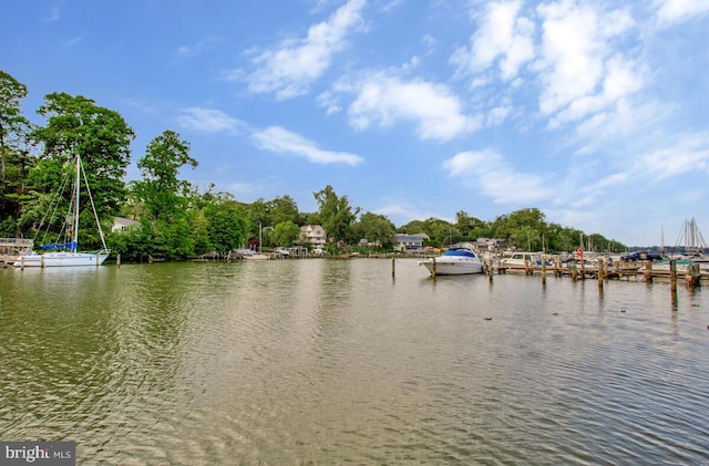water view with a dock