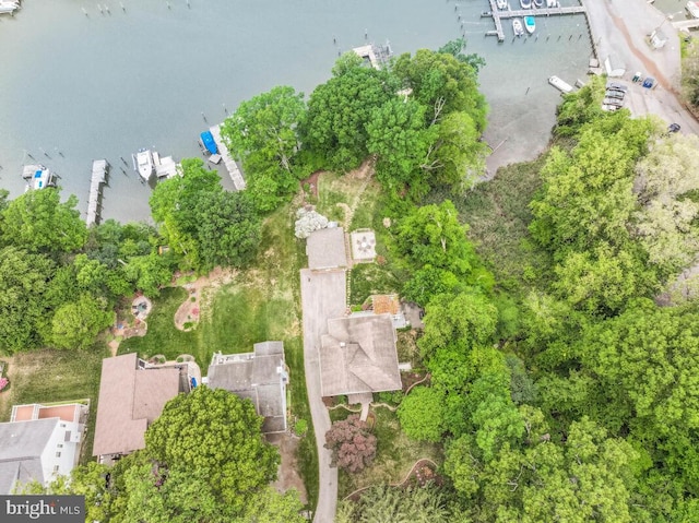 drone / aerial view