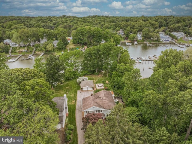 aerial view of a large body of water and a heavily wooded area