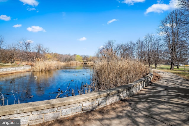 738 N Patterson Park Ave, Baltimore, MD 21205 - view of dock featuring a water view