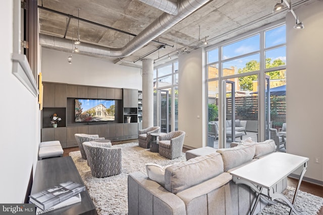 living room featuring a high ceiling and wood finished floors