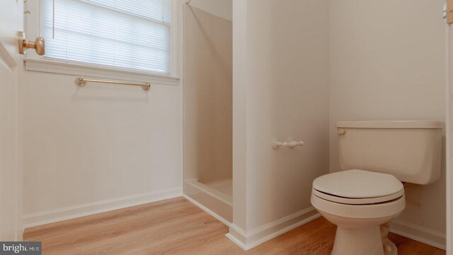 159 Yancey Ct, Mc Gaheysville, VA 22840 - full bath featuring baseboards, toilet, walk in shower, and wood finished floors