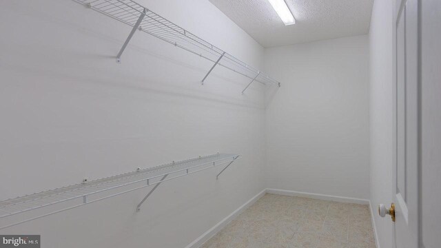 159 Yancey Ct, Mc Gaheysville, VA 22840 - view of walk in closet