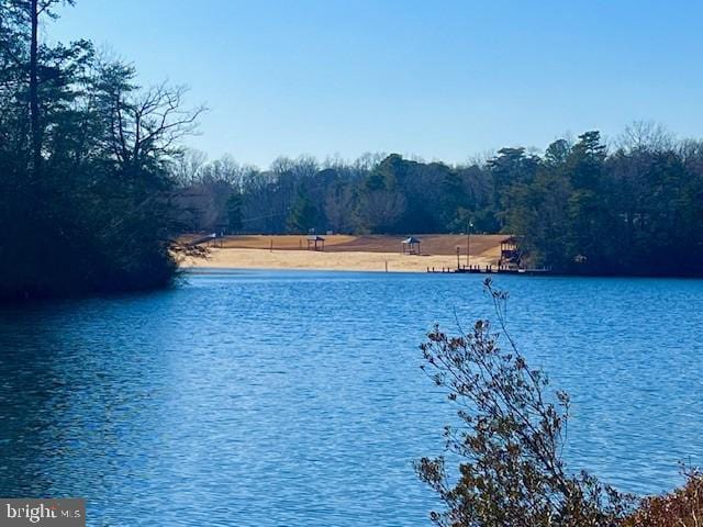 view of water feature with a forest view