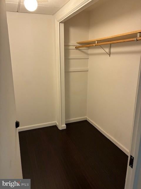 view of closet