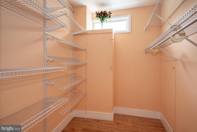 spacious closet featuring wood finished floors