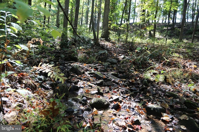 view of nature with a forest view