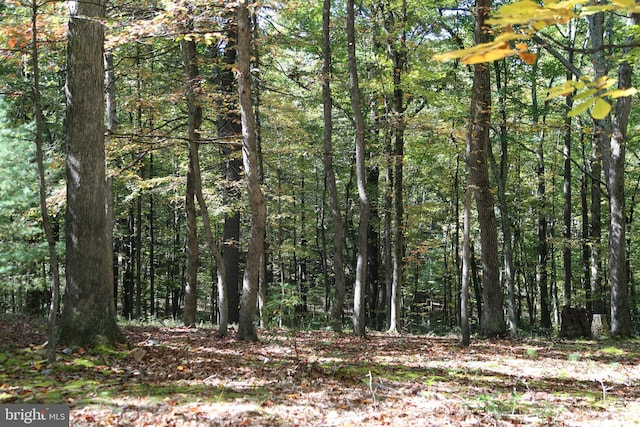 view of local wilderness featuring a forest view