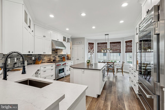 52 Olivia Way, Chesterfield, NJ 08515 - kitchen with stainless steel appliances, under cabinet range hood, a center island, a sink, and dark wood-style floors